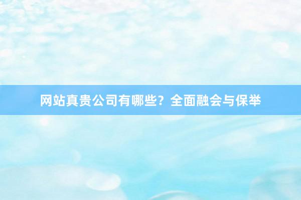 网站真贵公司有哪些？全面融会与保举